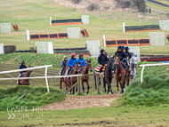 NH060322-3 - Nicky Henderson Stable Visit